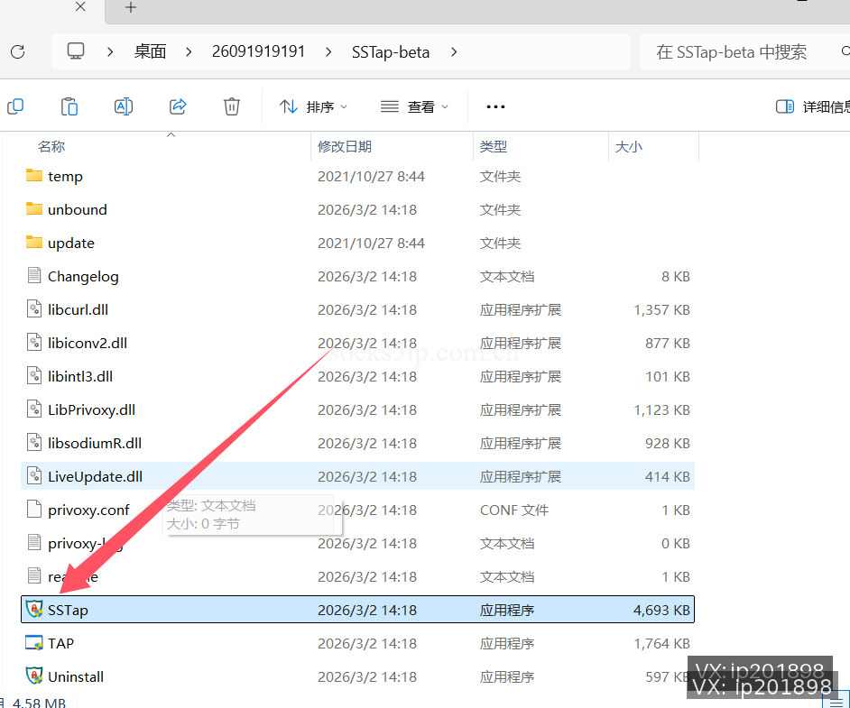 SSTap程序文件